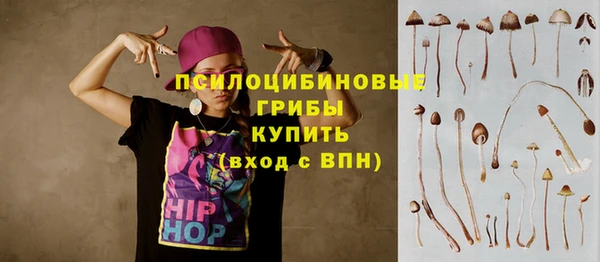 дмт Вязьма