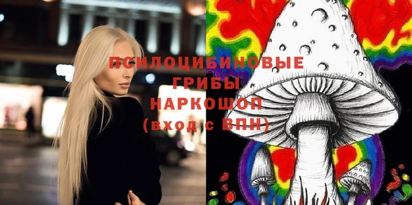 дмт Вязьма