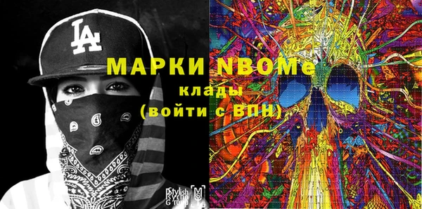 PSILOCYBIN Вяземский