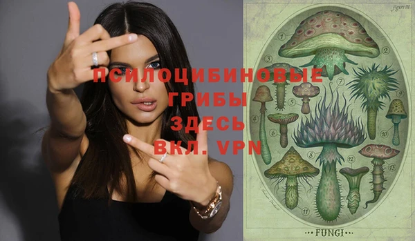 PSILOCYBIN Вяземский