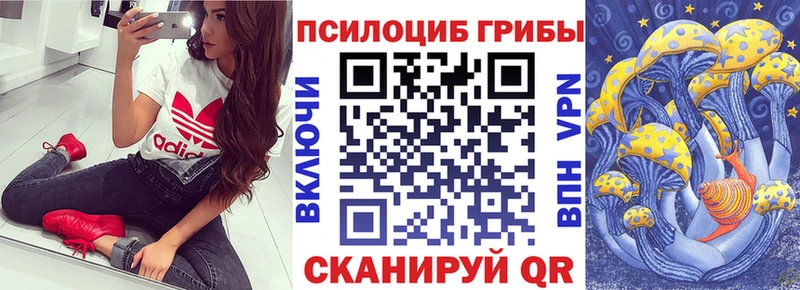 мега ссылка  дарнет шоп  Вичуга  даркнет телеграм  Псилоцибиновые грибы Magic Shrooms 