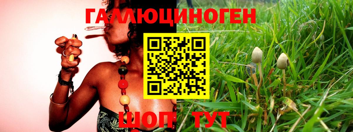 Вичуга  Псилоцибиновые грибы ЛСД  Вход с VPN  Псилоцибиновые грибы мухоморы 