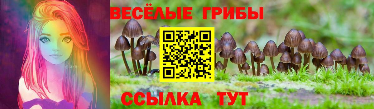 Галлюциногенные грибы прущие грибы Вичуга